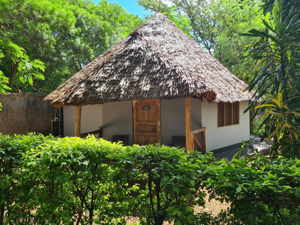 Honey Badger Lodge Moshi Exterior foto